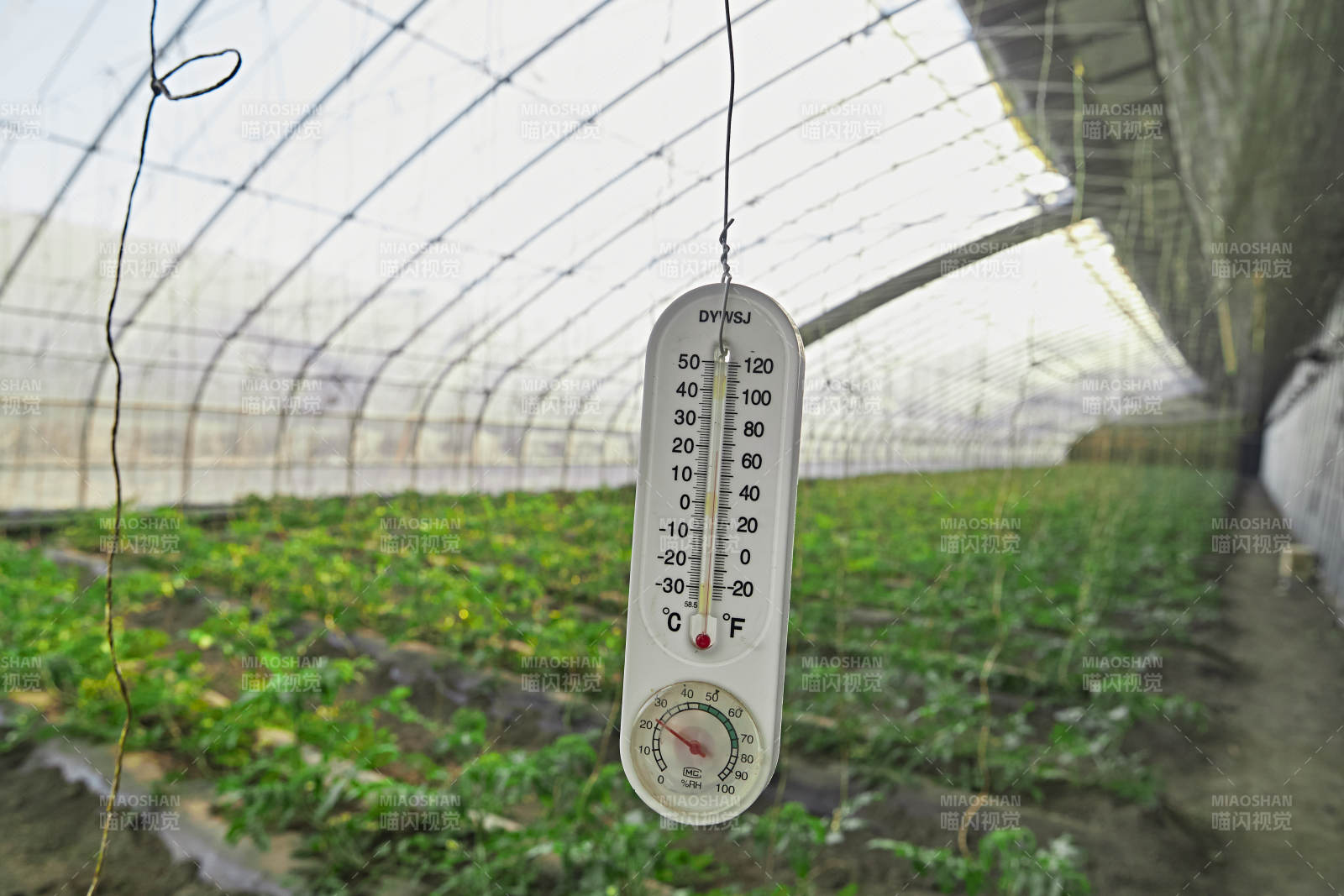 河北省沽源县库伦淖尔景区春季蔬菜大棚