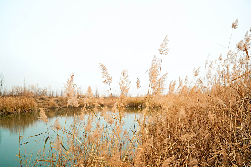 深秋初冬的荒野秋瑟湖边风景