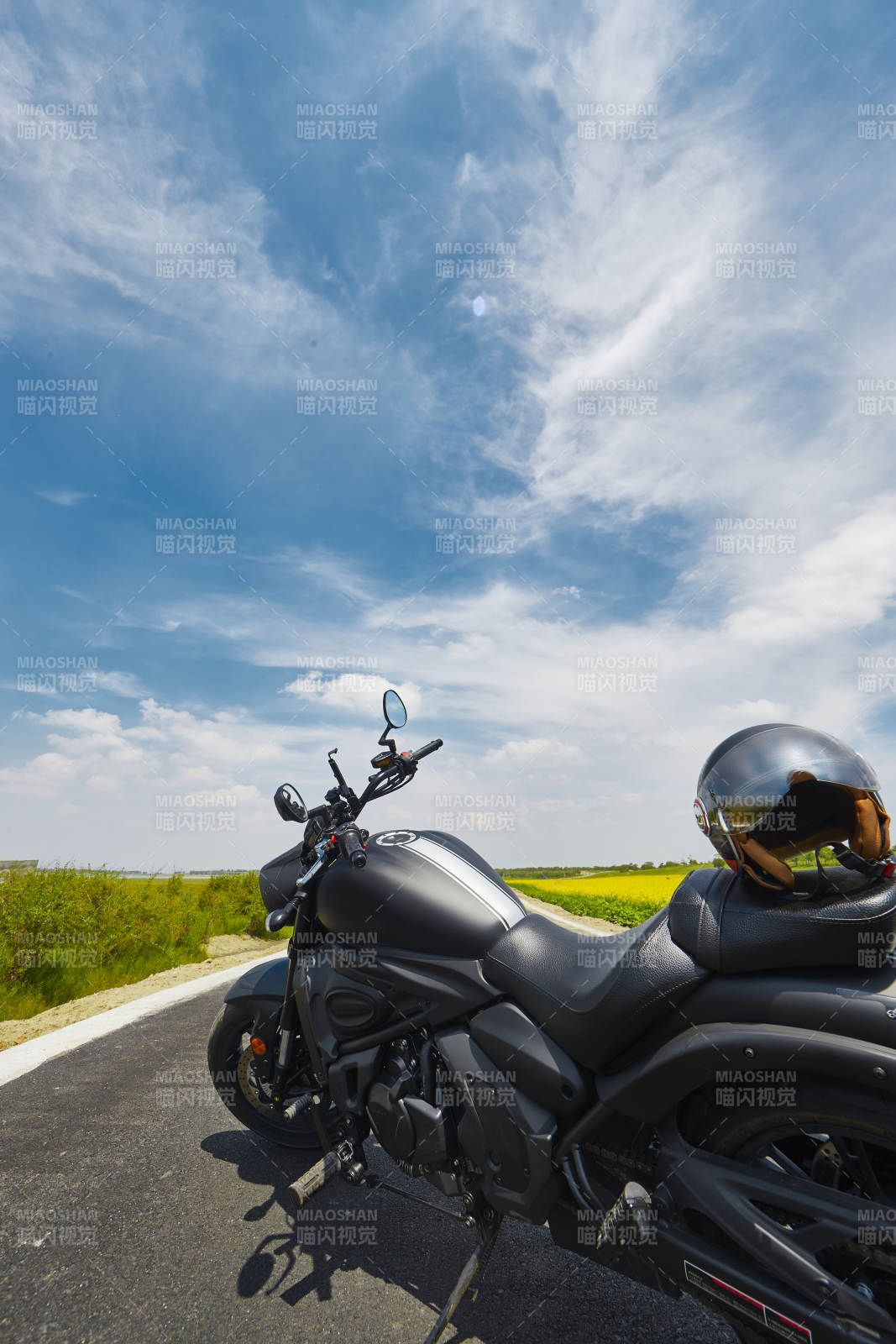 中国河北省张家口沽源县天鹅湖景区油菜花田