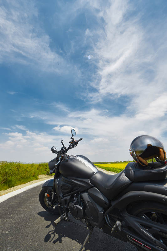 中国河北省张家口沽源县天鹅湖景区油菜花田