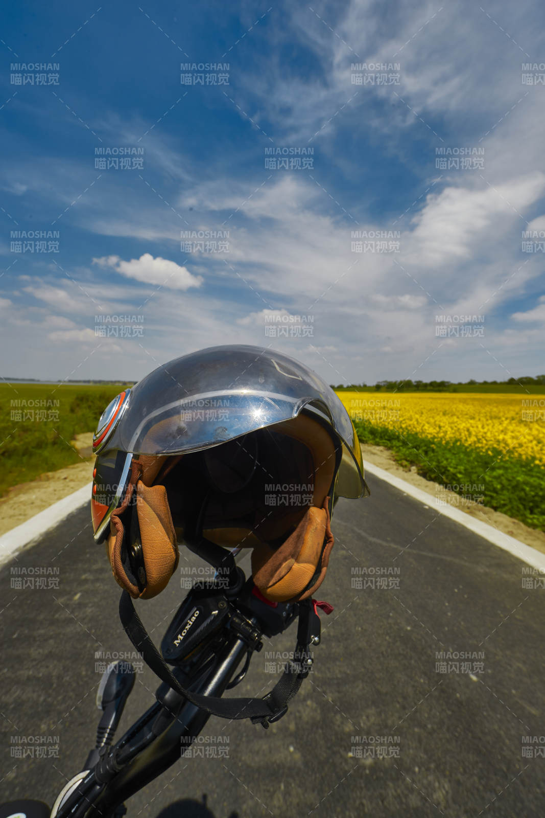 中国河北省张家口沽源县天鹅湖景区油菜花田