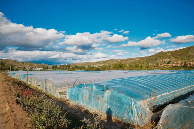中国河北省张家口市崇礼县四杆旗村蔬菜大棚种植