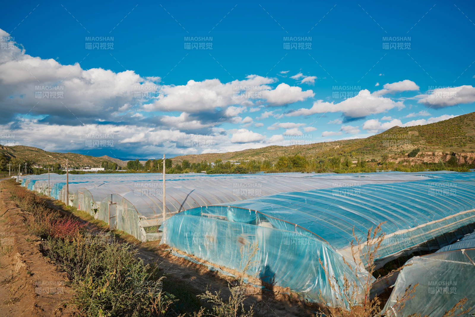 中国河北省张家口市崇礼县四杆旗村蔬菜大棚种植