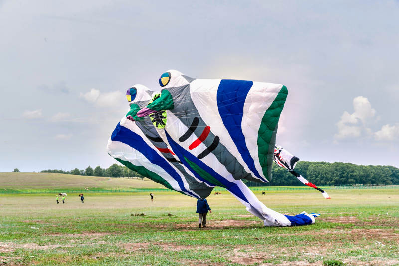 在坝上草原举行的国际风筝大型赛事