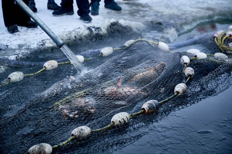 冬季湖面冰上捕鱼活动