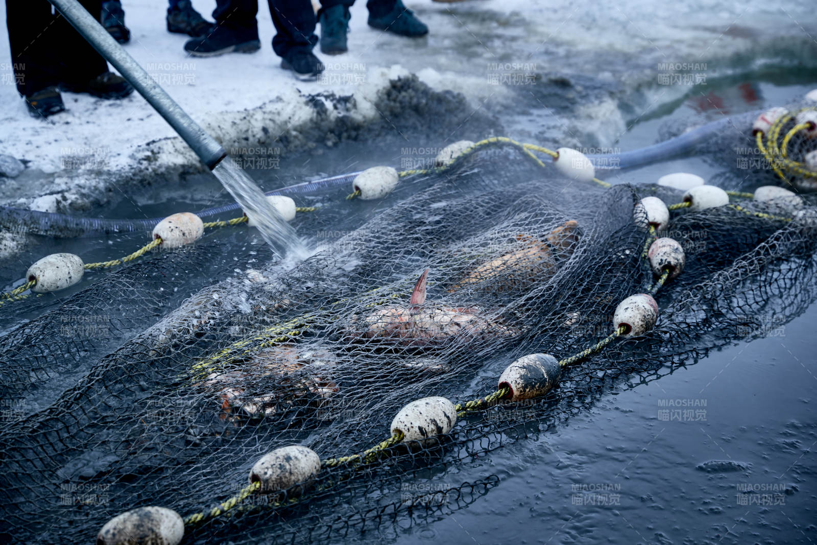 冬季湖面冰上捕鱼活动