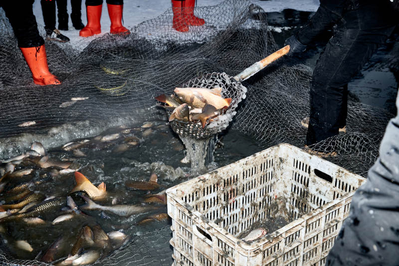 冬季湖面冰上捕鱼活动