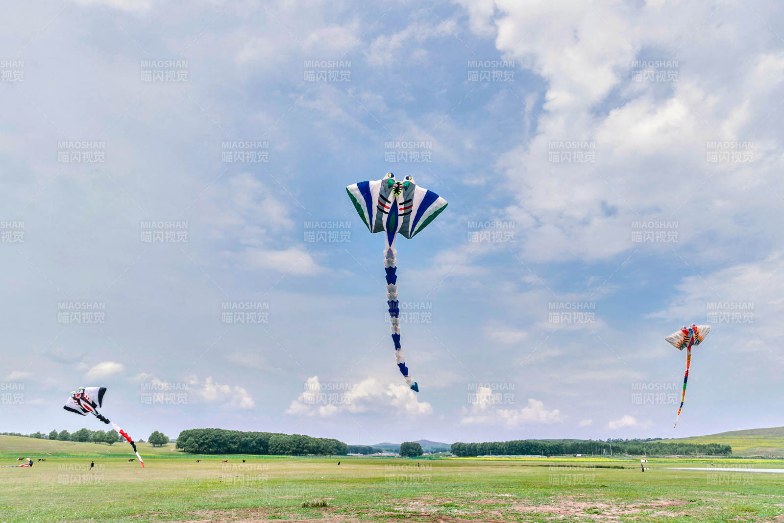 在坝上草原举行的国际风筝大型赛事