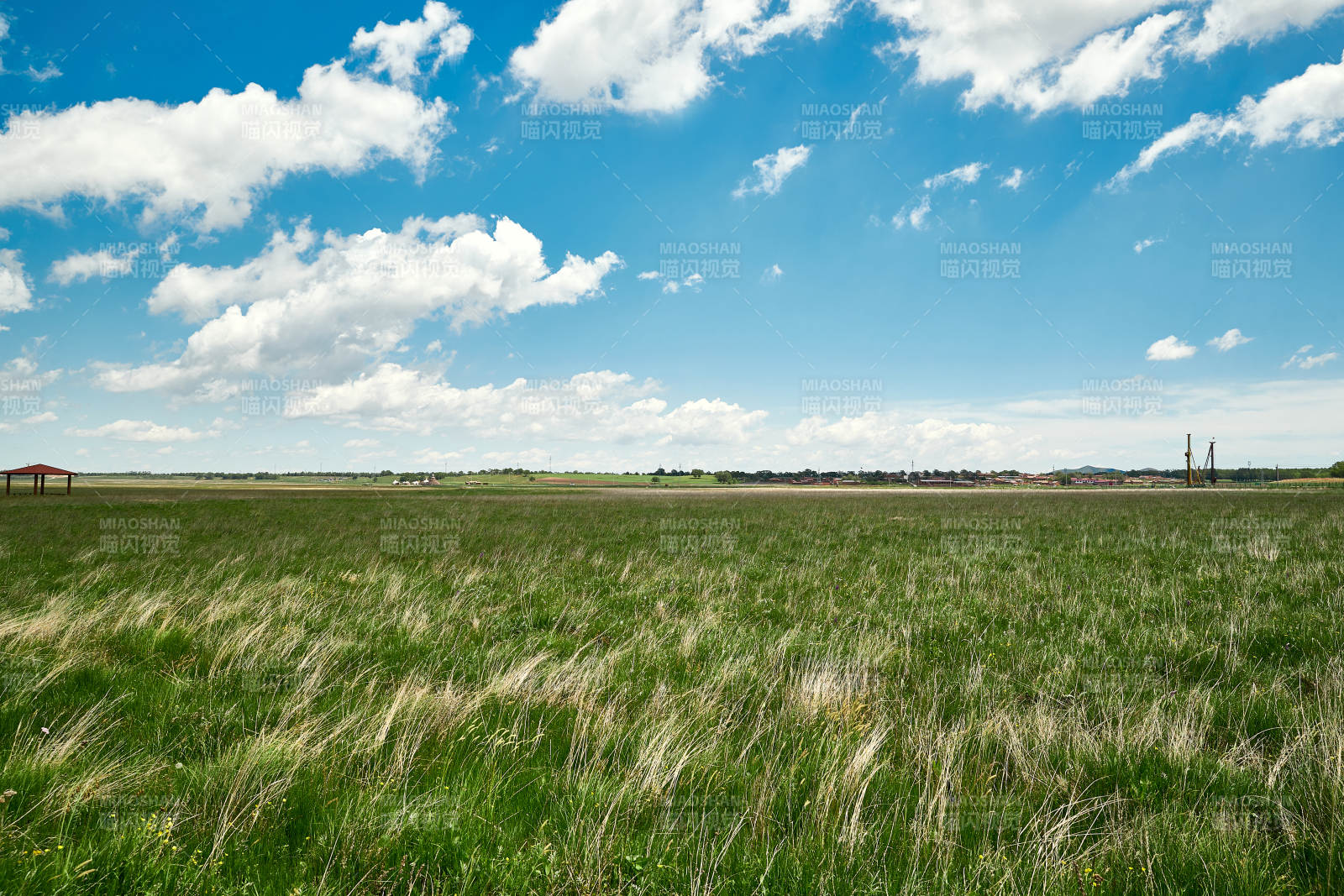 中国河北省张家口沽源县天鹅湖景区湿地花海图片