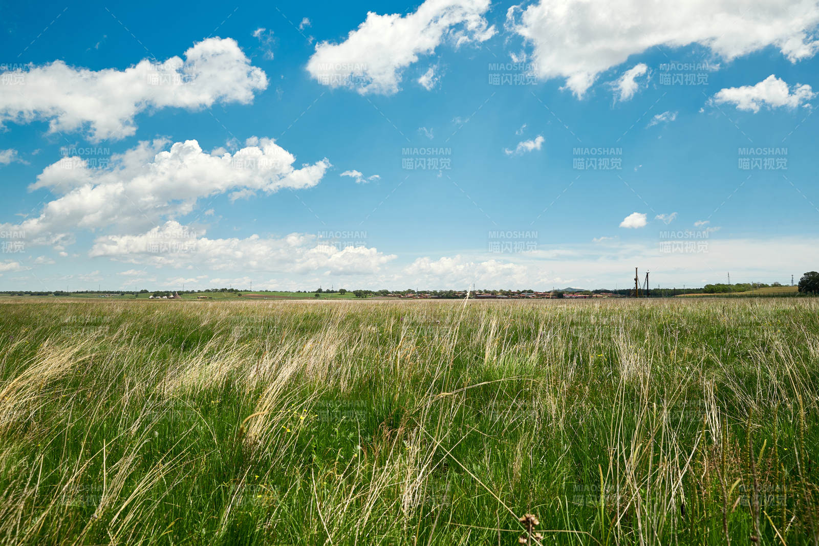 中国河北省张家口沽源县天鹅湖景区湿地花海图片