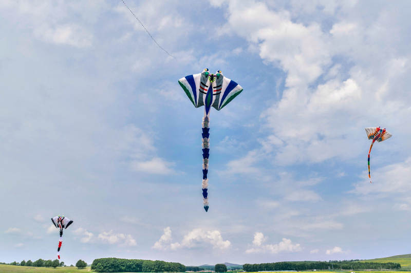 在壩上草原舉行的國際風(fēng)箏大型賽事