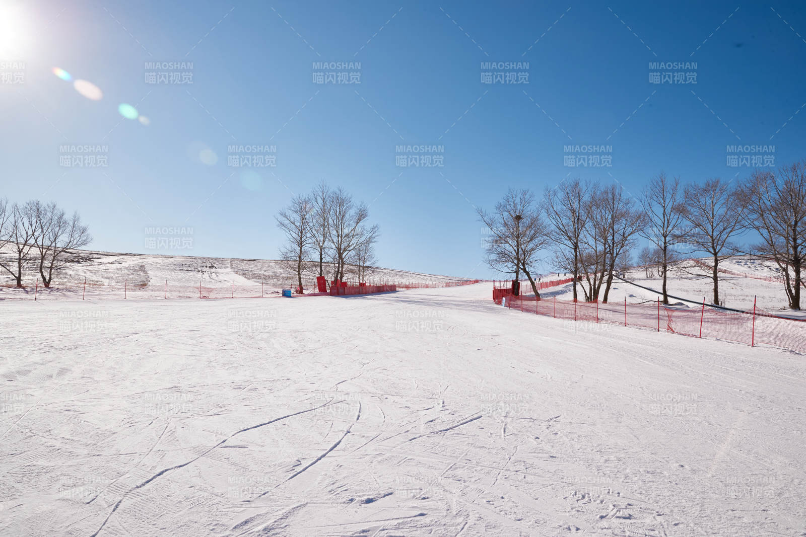 冬季森林自然风景