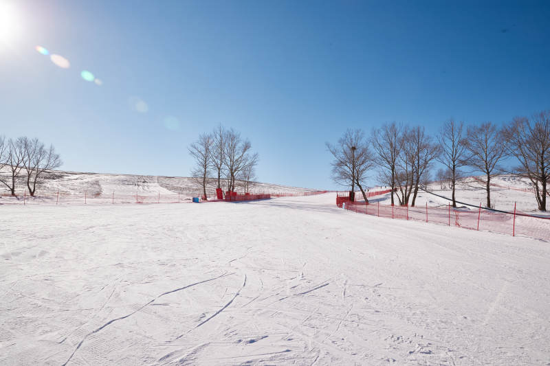 冬季森林自然风景