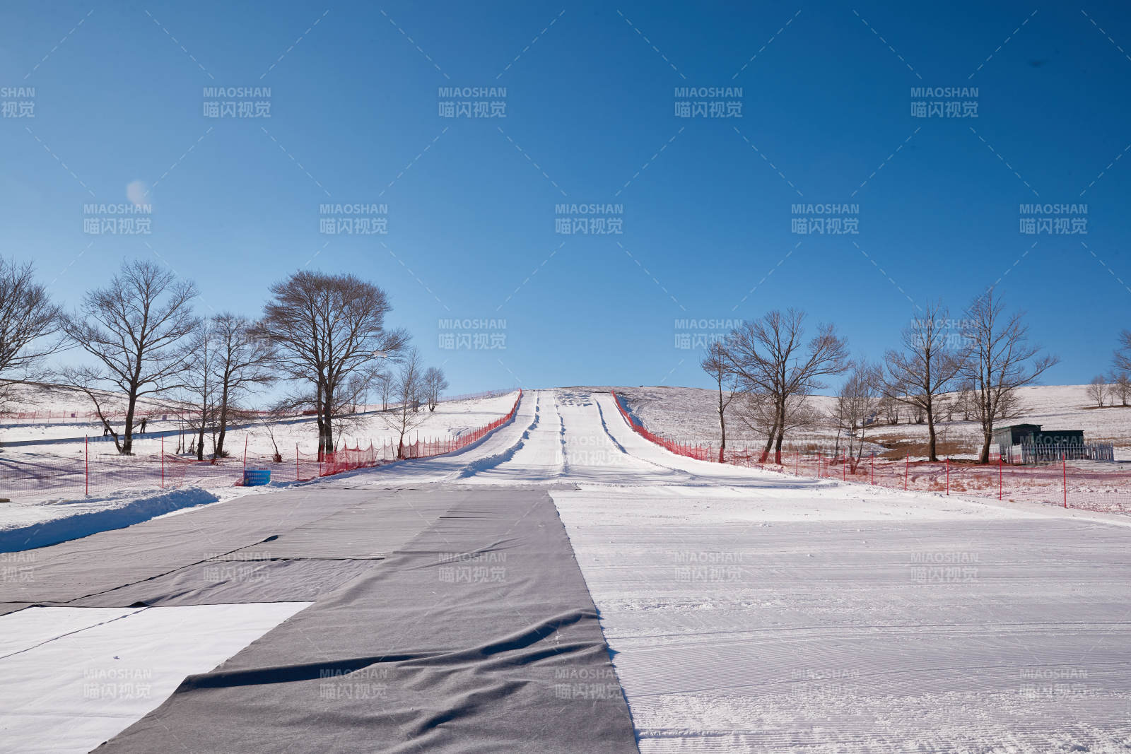 冬季森林自然风景