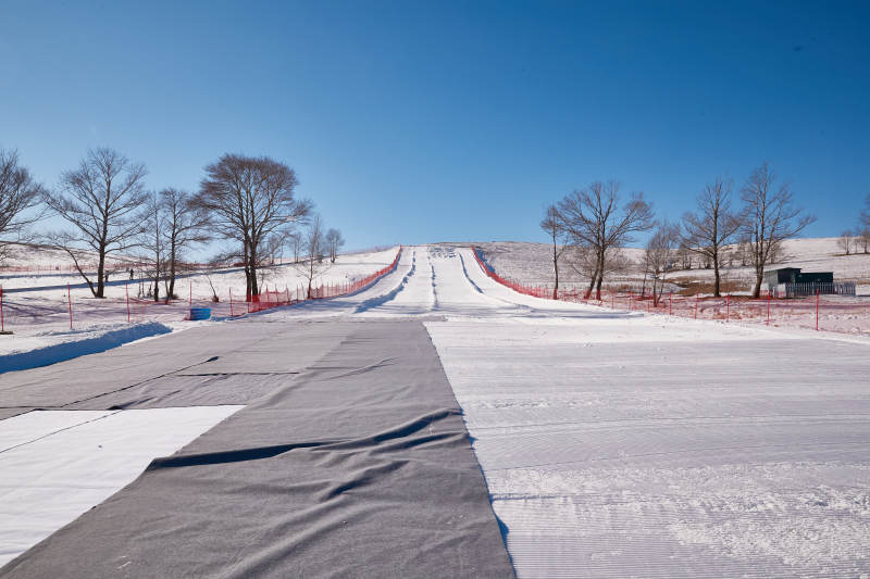 冬季森林自然风景