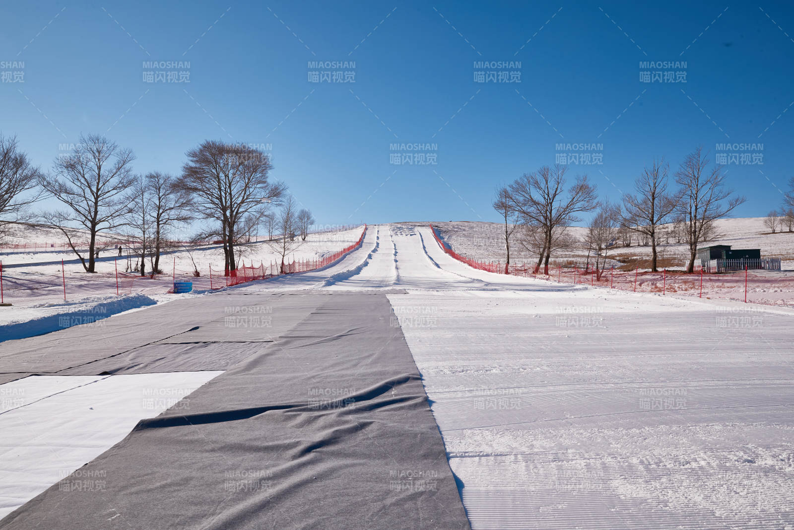 冬季森林自然风景