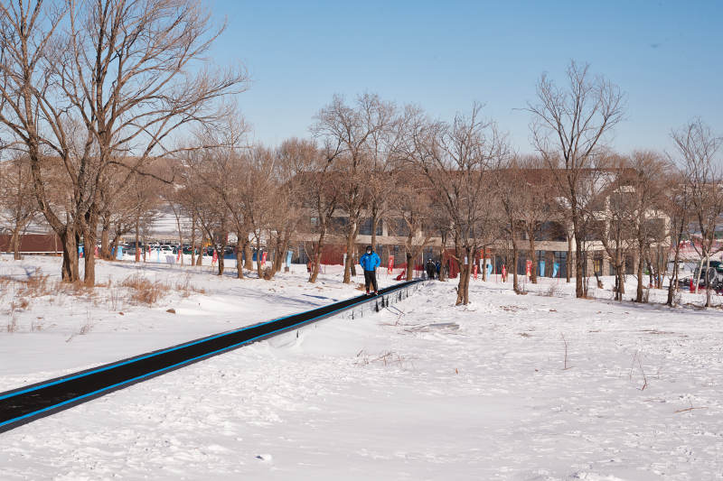 冬季森林自然风景