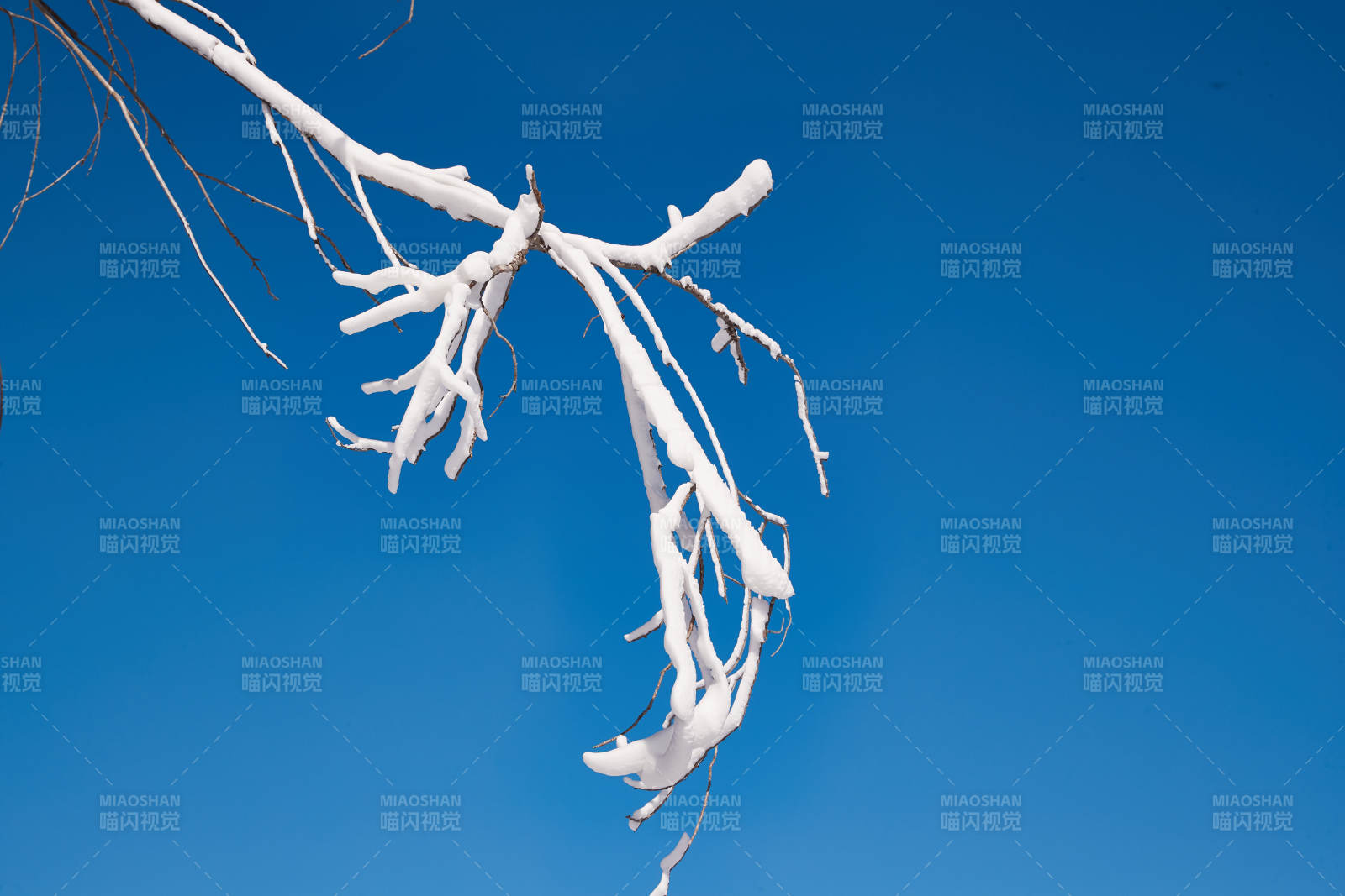 冬季森林自然风景