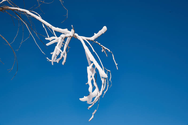 冬季森林自然风景