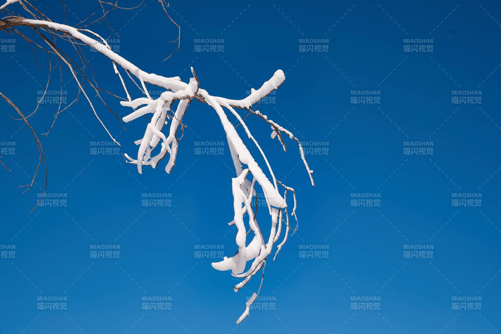 冬季森林自然风景