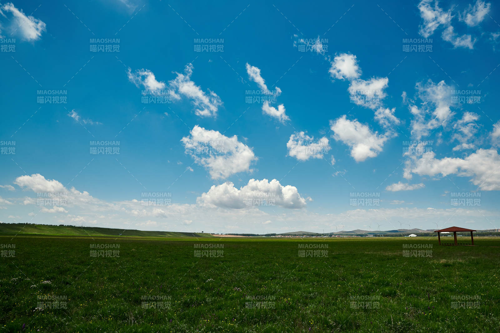 中国河北省张家口沽源县天鹅湖景区湿地花海