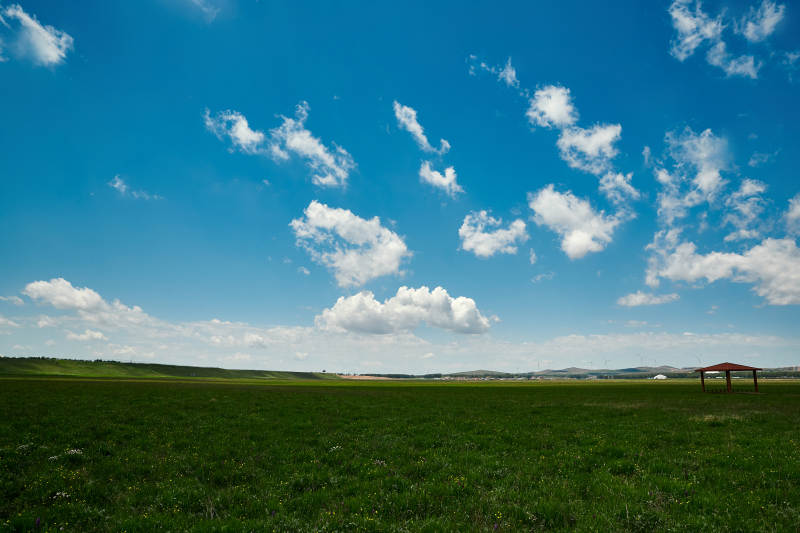中国河北省张家口沽源县天鹅湖景区湿地花海