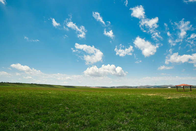 中国河北省张家口沽源县天鹅湖景区湿地花海