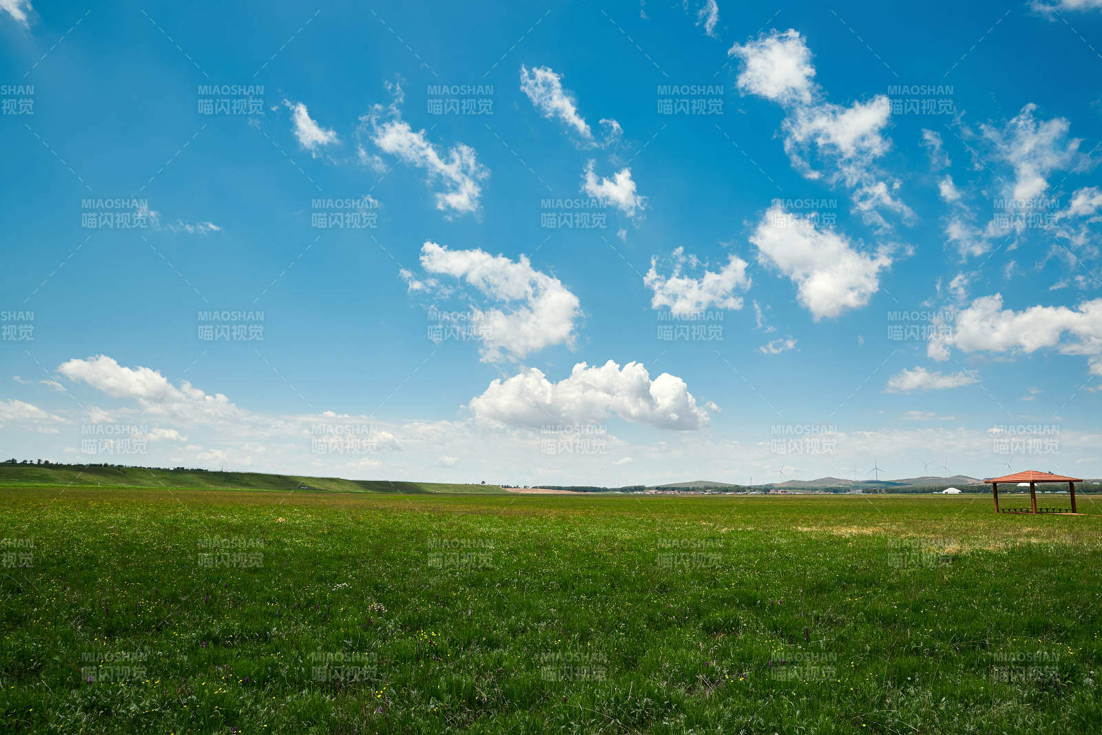 中国河北省张家口沽源县天鹅湖景区湿地花海