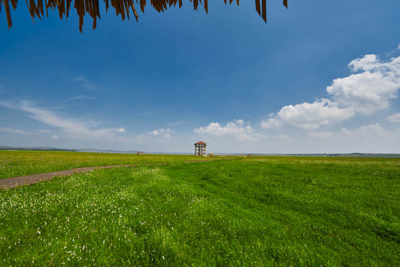 中国河北省张家口沽源县天鹅湖景区湿地花海