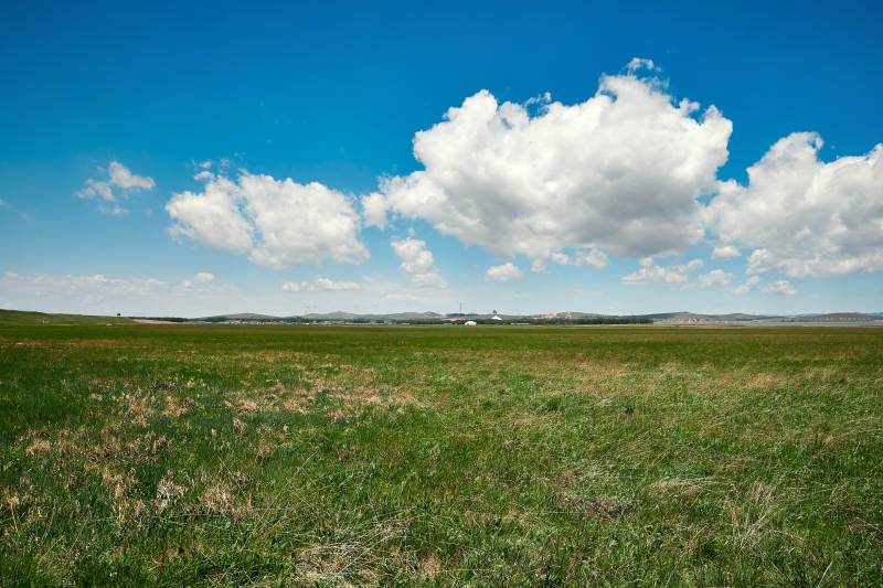 中国河北省张家口沽源县天鹅湖景区湿地花海