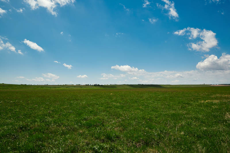 中国河北省张家口沽源县天鹅湖景区湿地花海