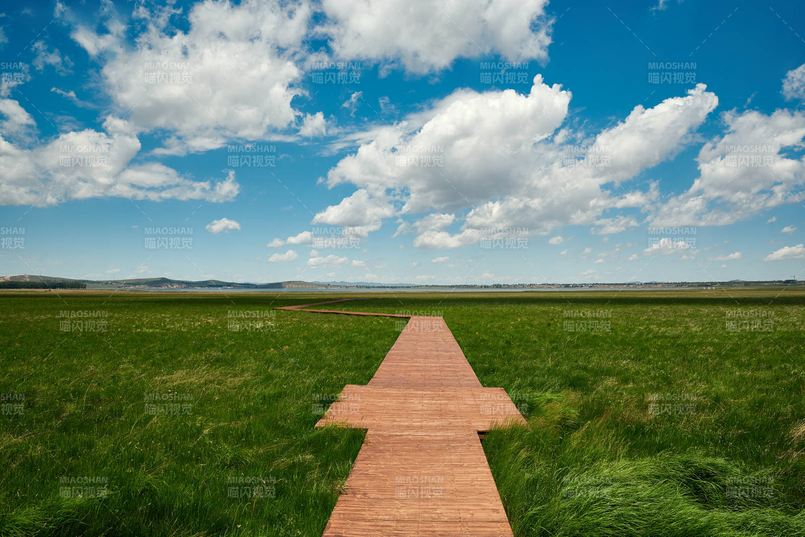 中国河北省张家口沽源县天鹅湖景区湿地花海