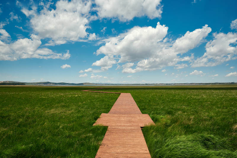 中国河北省张家口沽源县天鹅湖景区湿地花海