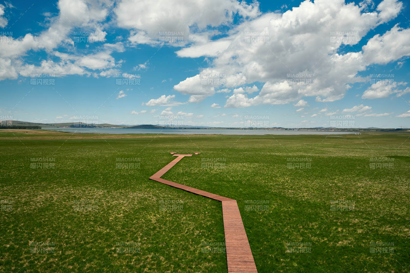 中国河北省张家口沽源县天鹅湖景区湿地花海