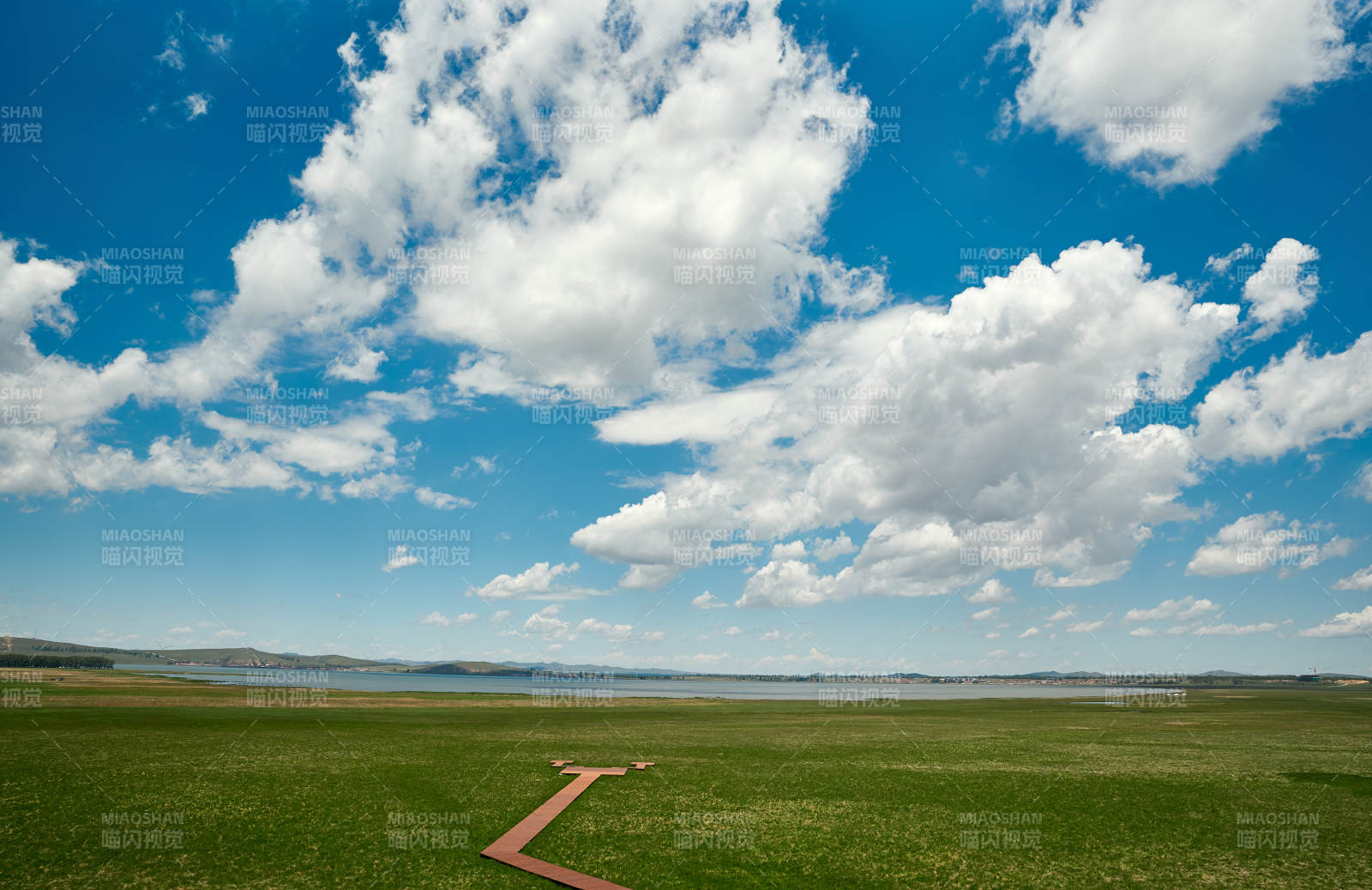 中国河北省张家口沽源县天鹅湖景区湿地花海