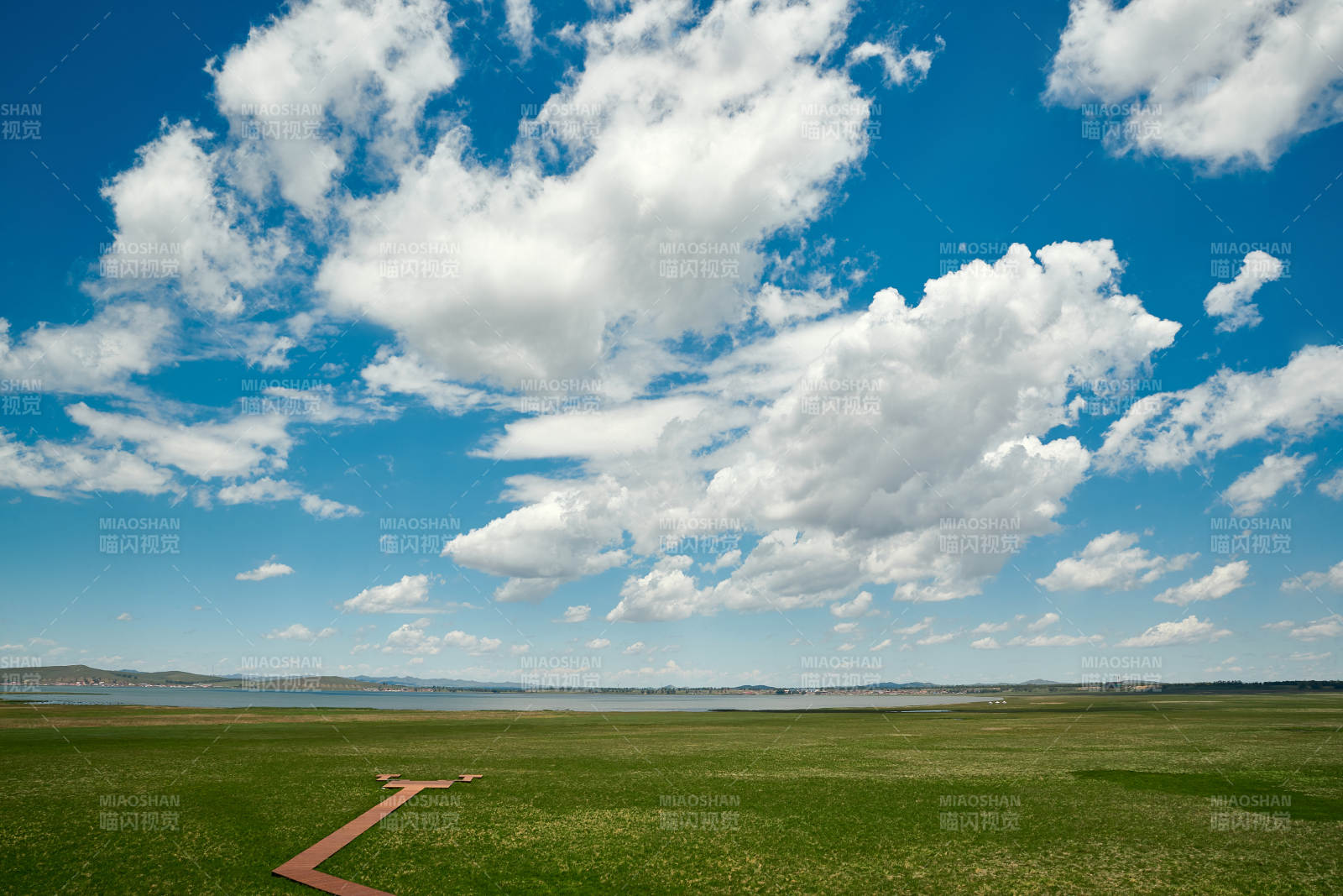 中国河北省张家口沽源县天鹅湖景区湿地花海