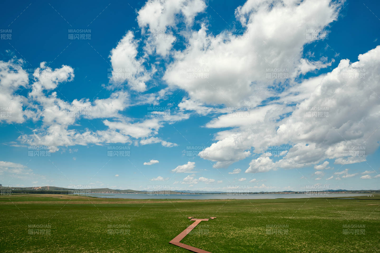 中国河北省张家口沽源县天鹅湖景区湿地花海