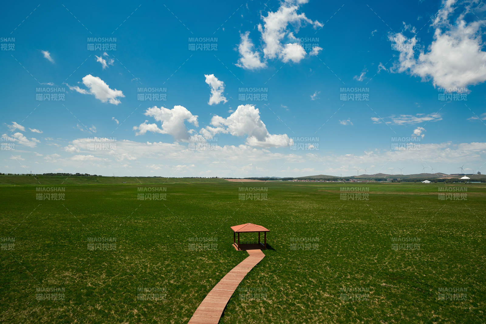 中国河北省张家口沽源县天鹅湖景区湿地花海