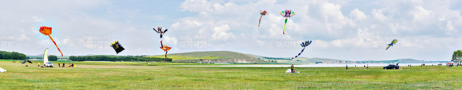 在坝上草原举行的国际风筝大型赛事