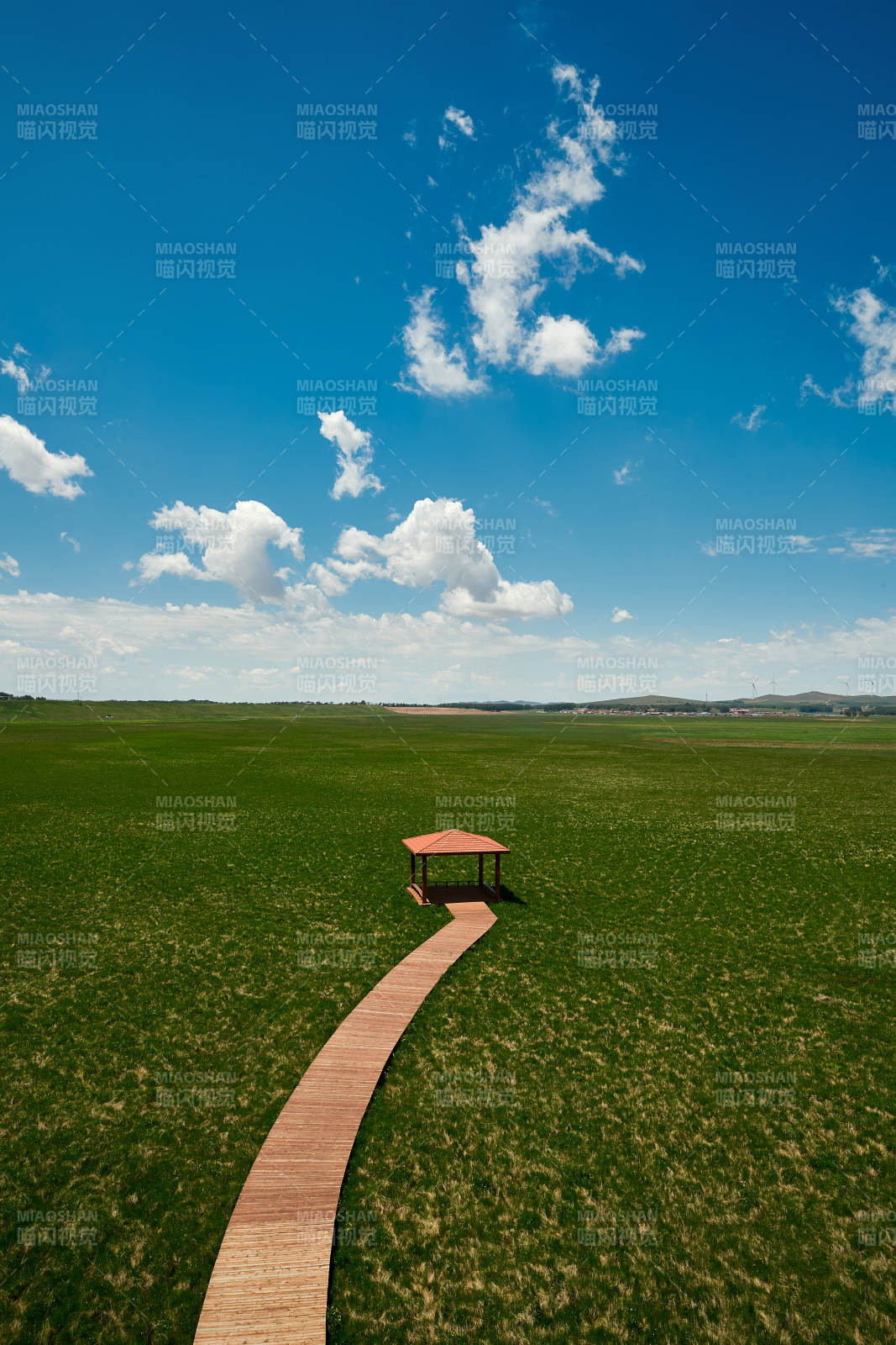 中國河北省張家口沽源縣天鵝湖景區(qū)濕地花海