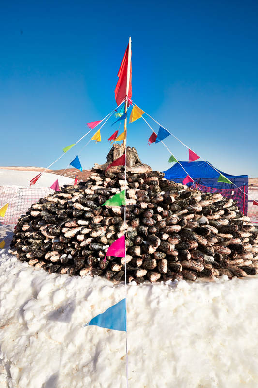 用冬捕野生湖鱼堆积的敖包