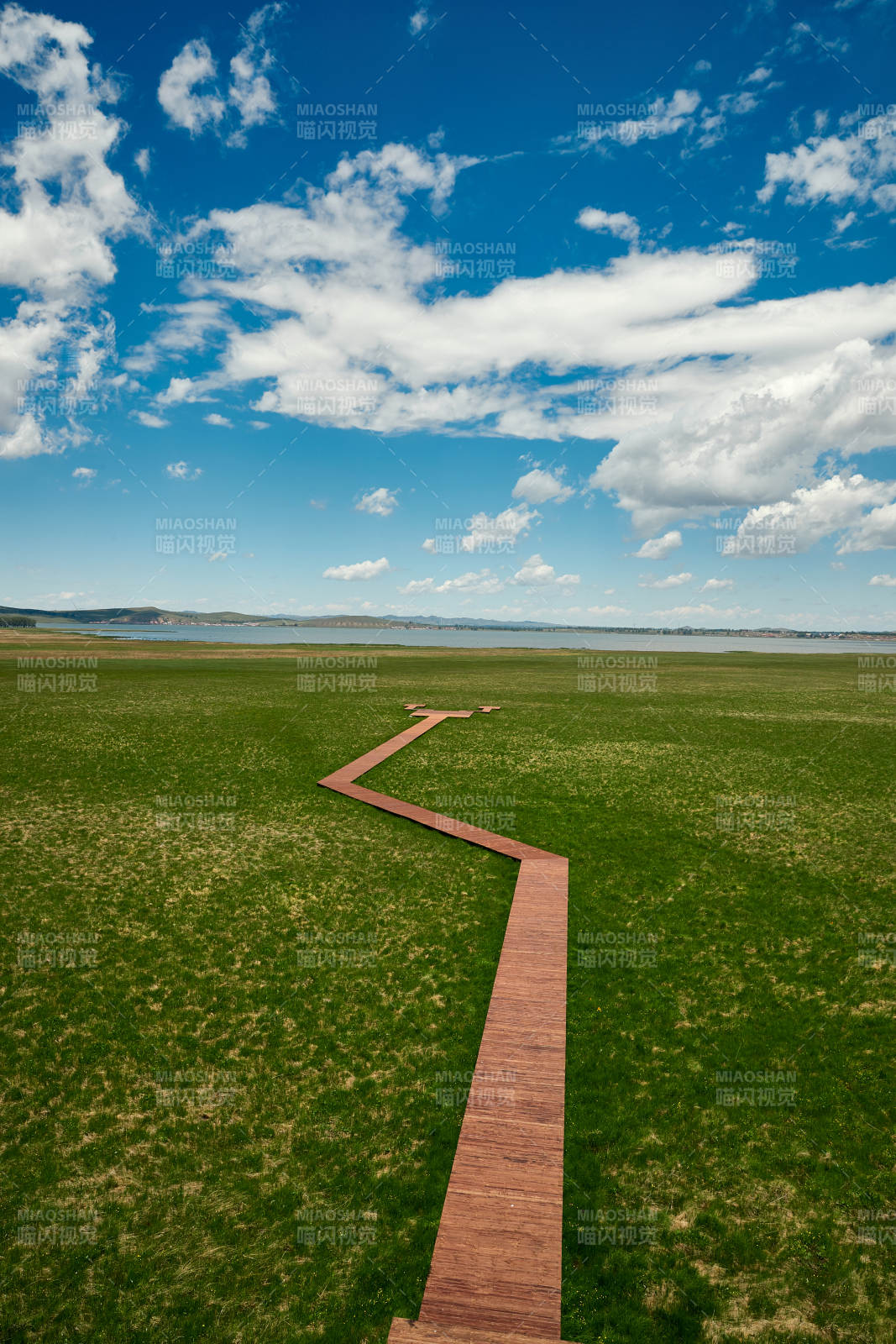 中国河北省张家口沽源县天鹅湖景区湿地花海