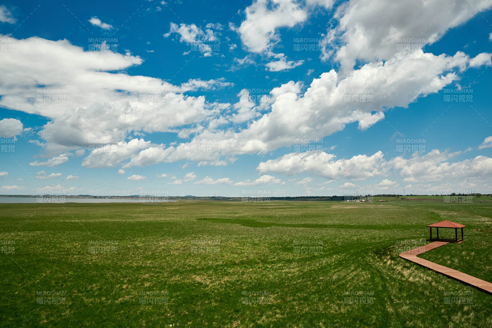 中国河北省张家口沽源县天鹅湖景区湿地花海