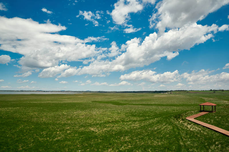 中国河北省张家口沽源县天鹅湖景区湿地花海