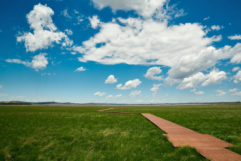 中国河北省张家口沽源县天鹅湖景区湿地花海
