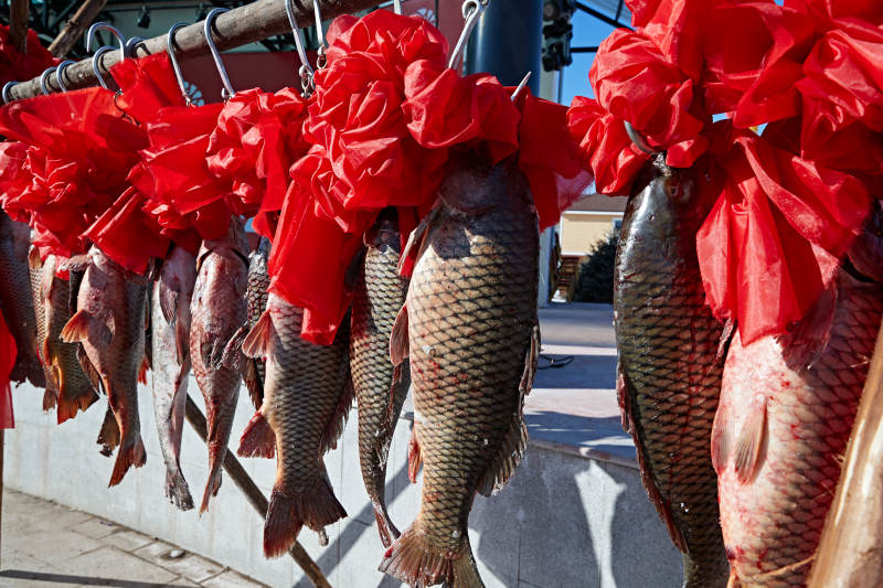 冬捕湖鱼挂在广场上