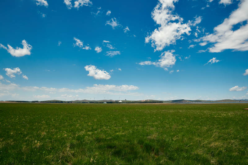 中国河北省张家口沽源县天鹅湖景区湿地花海