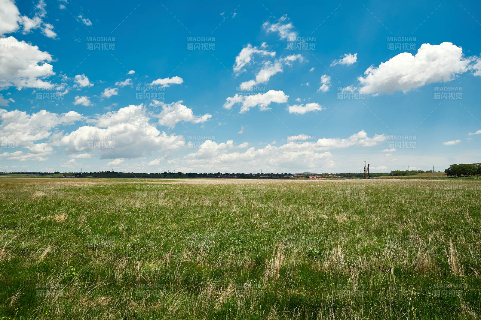 中国河北省张家口沽源县天鹅湖景区湿地花海