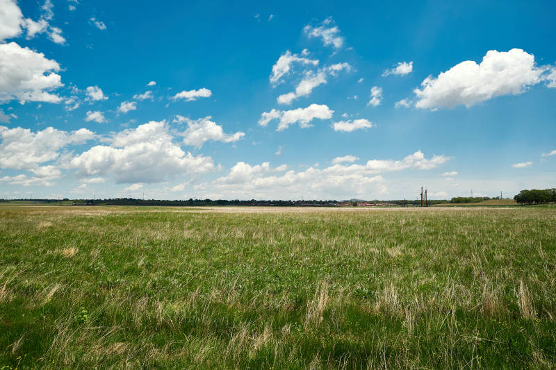 中国河北省张家口沽源县天鹅湖景区湿地花海