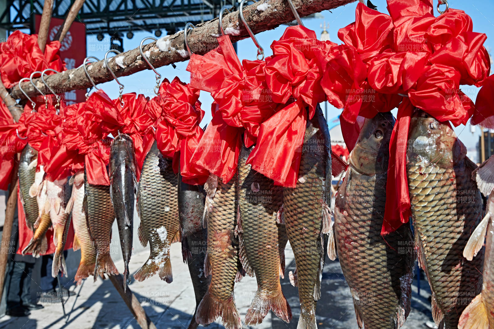 冬捕湖鱼挂在广场上